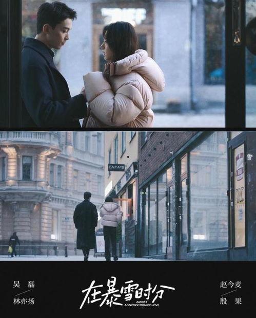 在暴雪时分,揭秘暴雪时分下的神秘现象