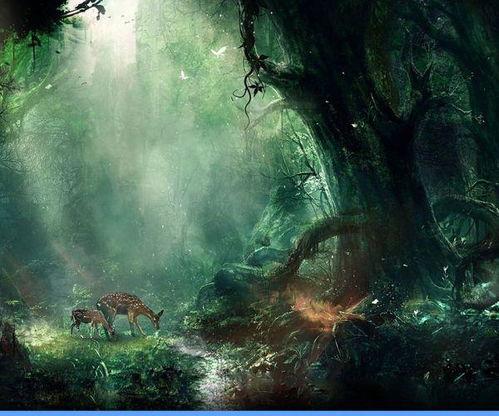 林深不见鹿,探寻自然秘境