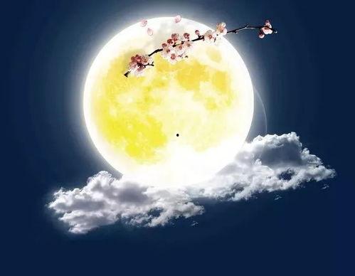 那年中秋（中秋那年）（逆行者）（寻着光的方向）,逆行者寻着光的方向